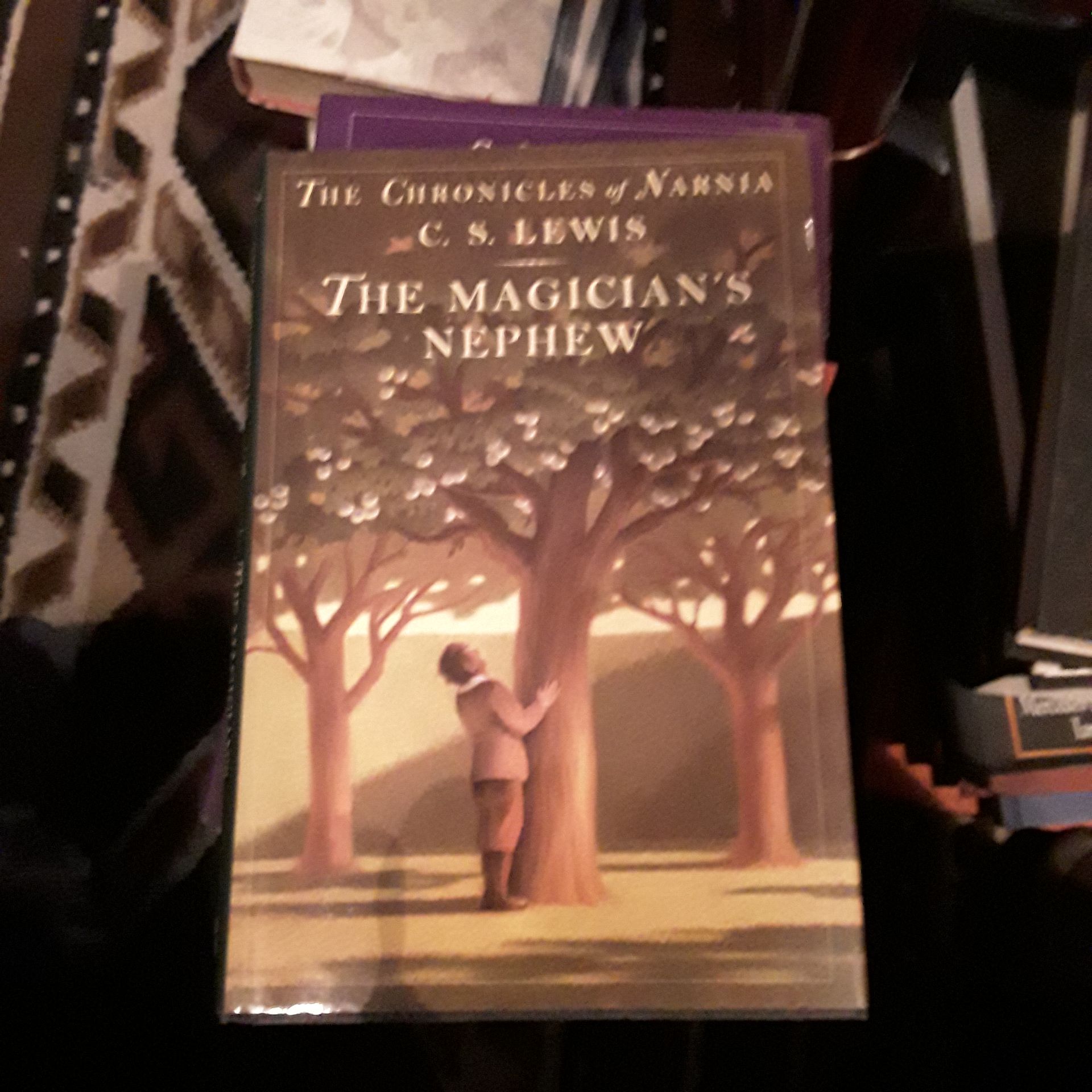 The Shadow Of The Bear