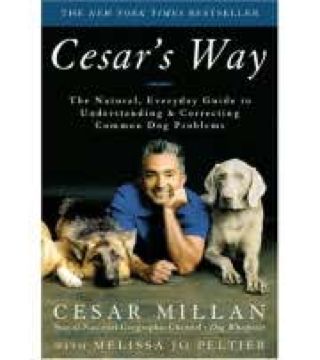 The Amityville Horror