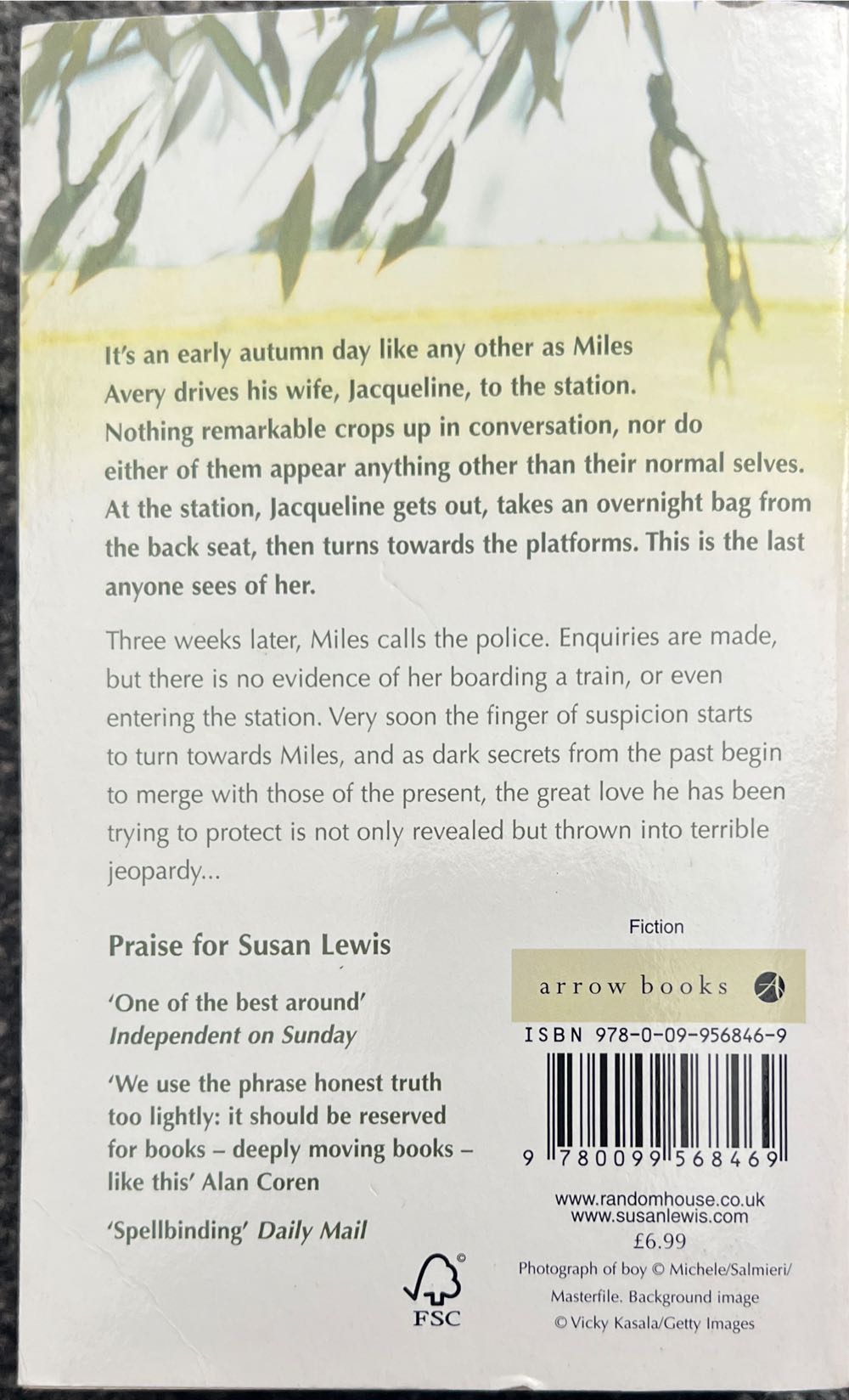 Missing - Susan Lewis (Arrow Books - Paperback) book collectible [Barcode 9780099492344] - Main Image 2
