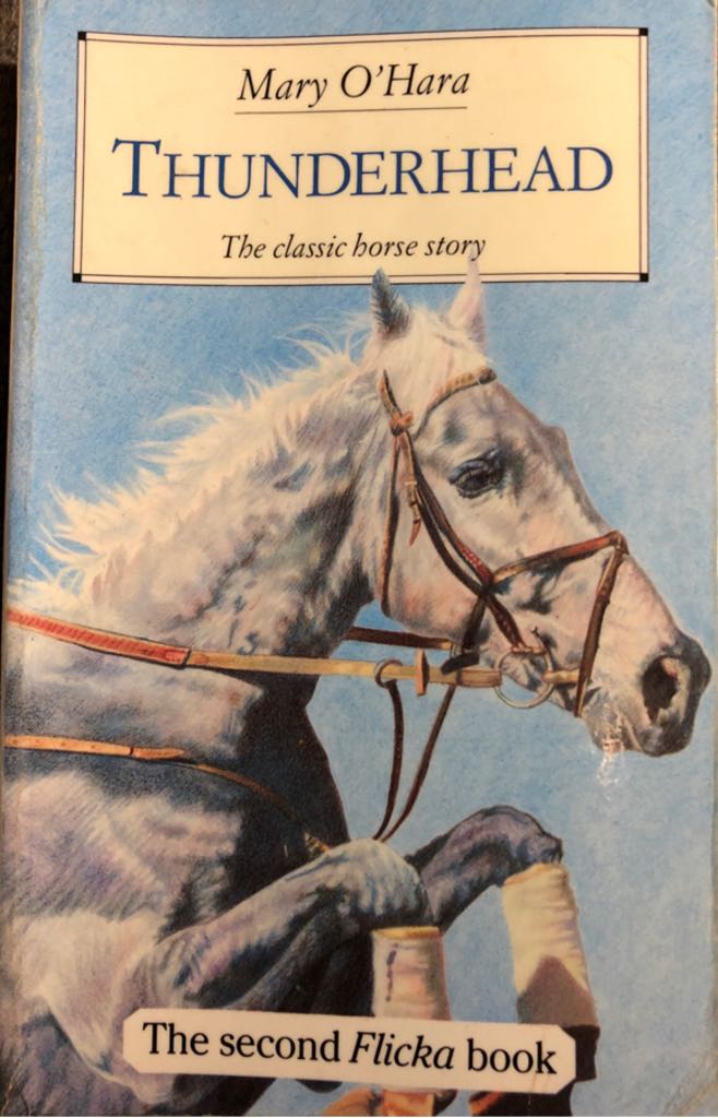 Polar Express *Signed*, The