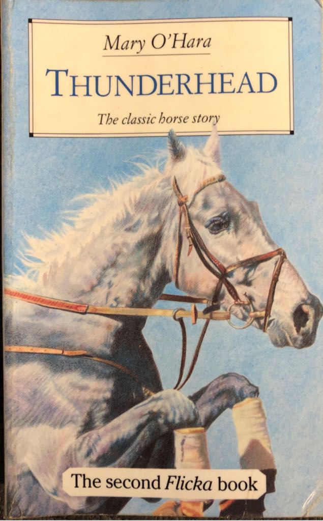 Snow Falling on Cedars