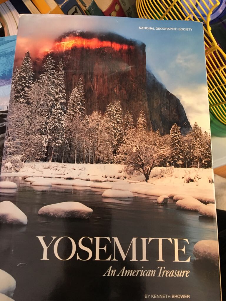 DID 01 Crystal Shard, The