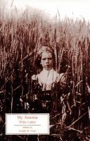 A Gown of Spanish Lace