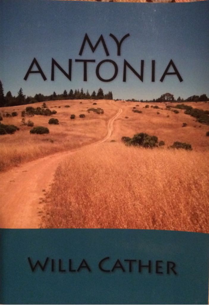 The Perks Of Being A Wallflower