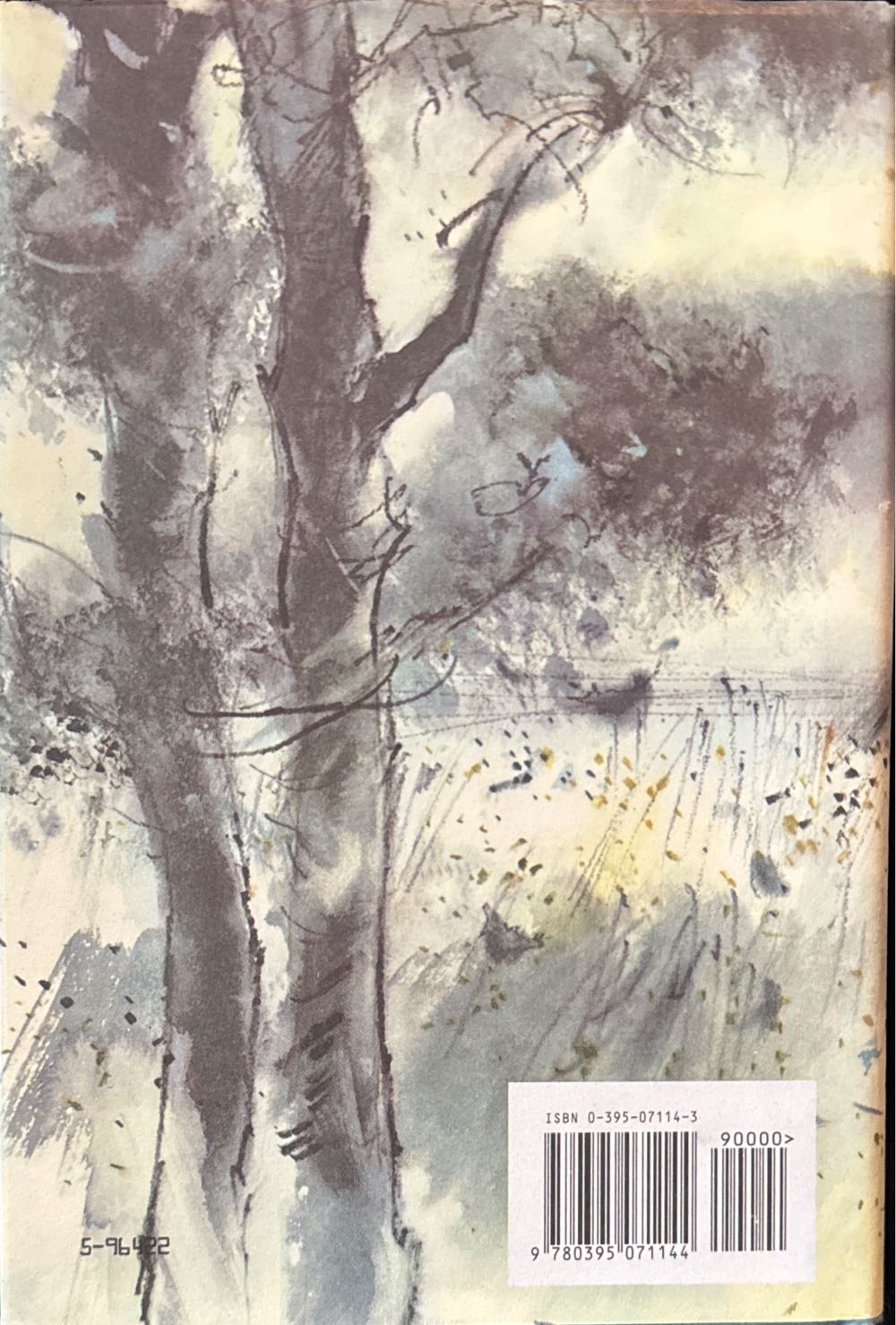 Witch of Blackbird Pond, The - Elizabeth George Speare (Houghton Mifflin Company Boston - Hardcover) book collectible [Barcode 9780395071144] - Main Image 2