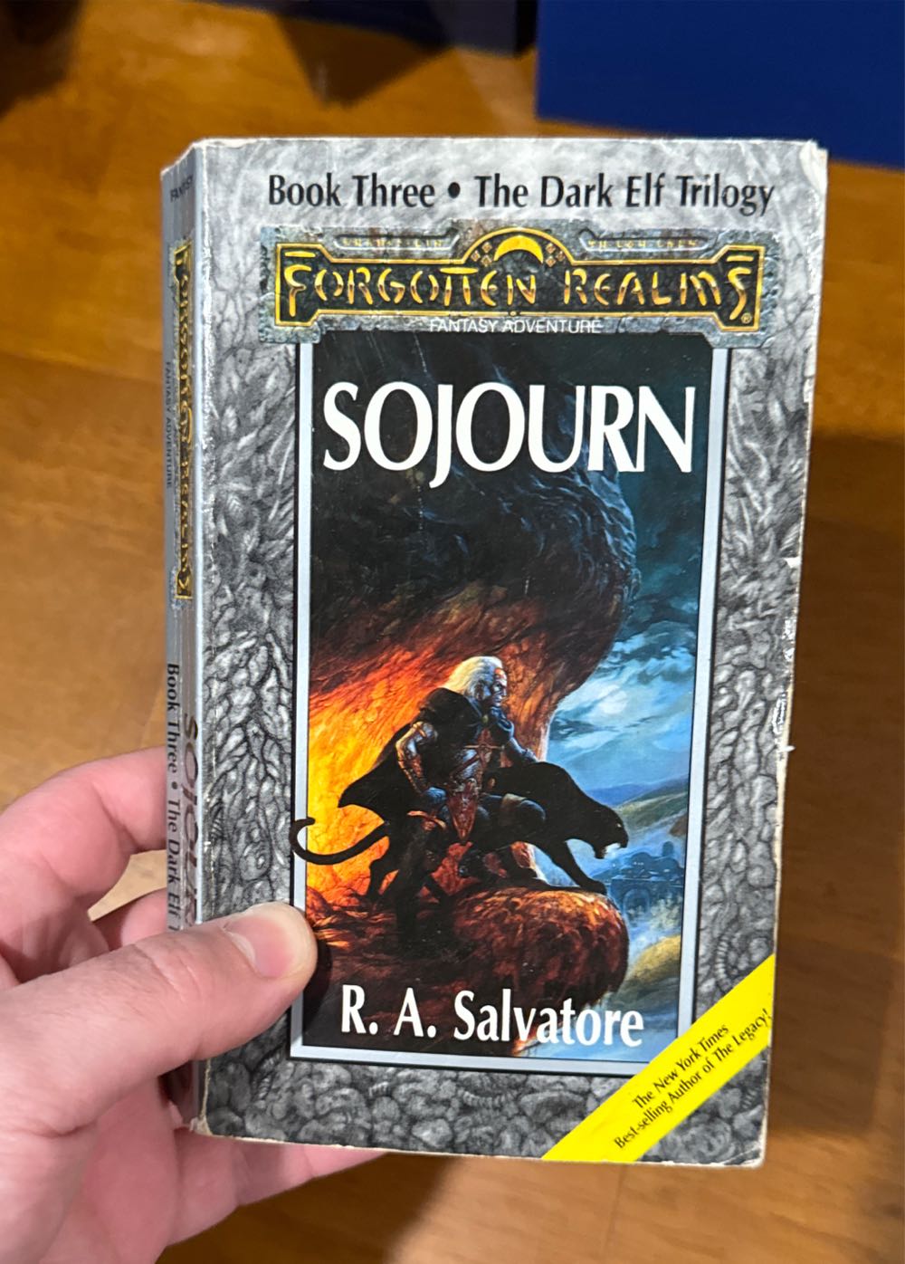 DDE 03 Sojourn - R. A. Salvatore (Wizards of the Coast - Paperback) book collectible [Barcode 9781560760474] - Main Image 3