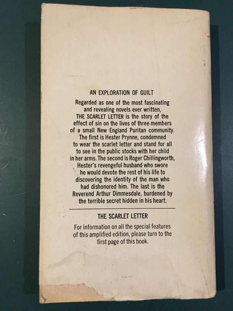The Scarlet Letter - Nathaniel Hawthorne (Paperback) book collectible - Main Image 2