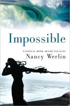 Impossible - Nancy Werlin (Dial - Hardcover) book collectible [Barcode 9780803730021] - Main Image 1