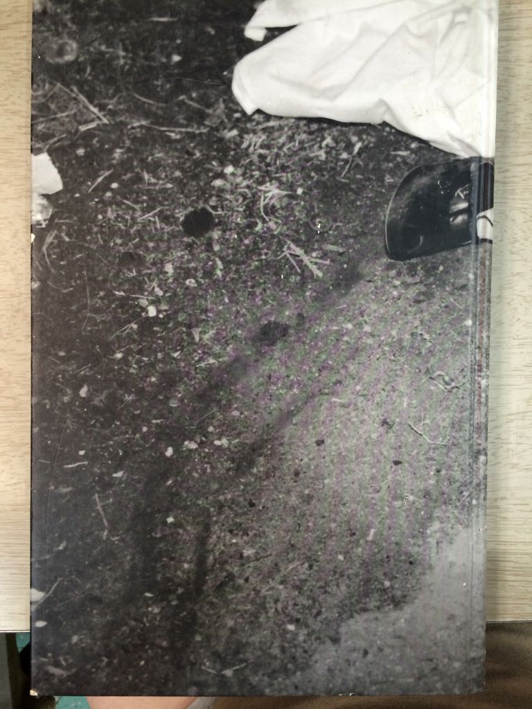 Scene Of The Crime - W. Dixon (ABRAMS - Hardcover) book collectible [Barcode 9780810950023] - Main Image 2