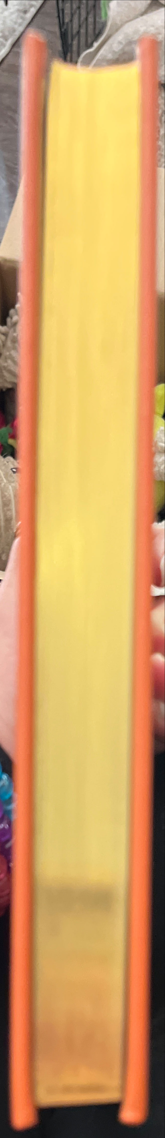 A Journey To The Center Of The Earth - Jules Verne (Barnes & Noble - Calf-Binding) book collectible [Barcode 9781435144736] - Main Image 3