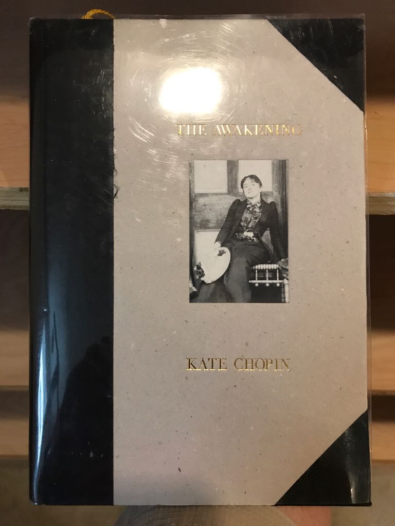 The Adventures Of Huckleberry Finn