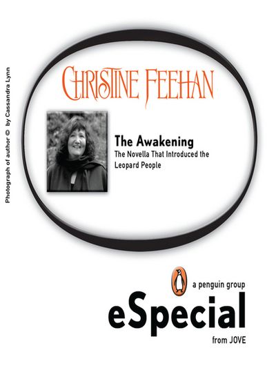 The Awakening book collectible - Main Image 1