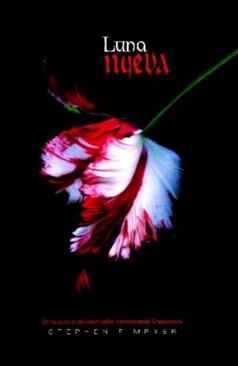 Building Classroom Discipline