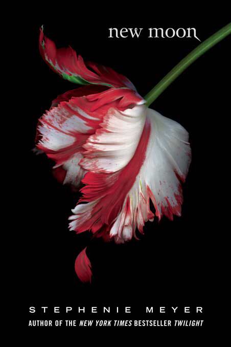 The Bounce Back Book