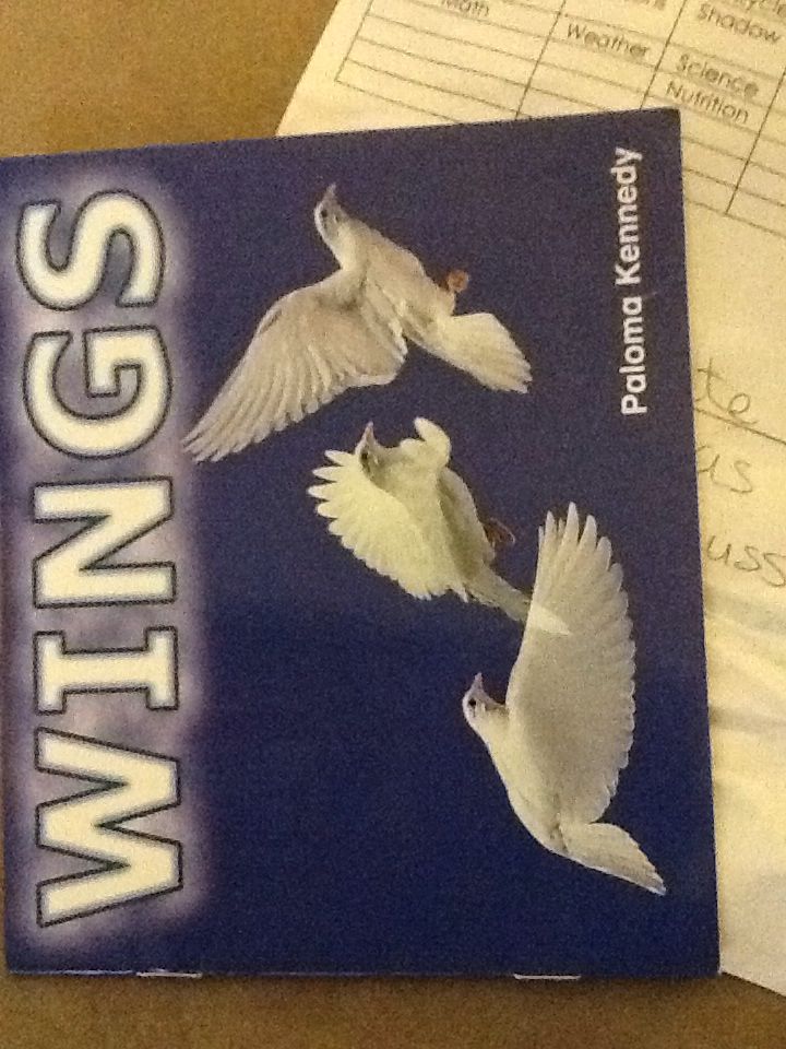 Wings - Paul Stewart book collectible - Main Image 1