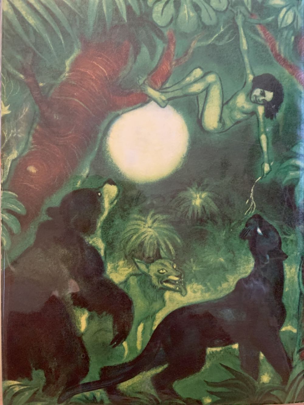 The Jungle Book (illustrated Junior Library) - Rudyard Kipling (Grosset & Dunlap - Hardcover) book collectible - Main Image 2