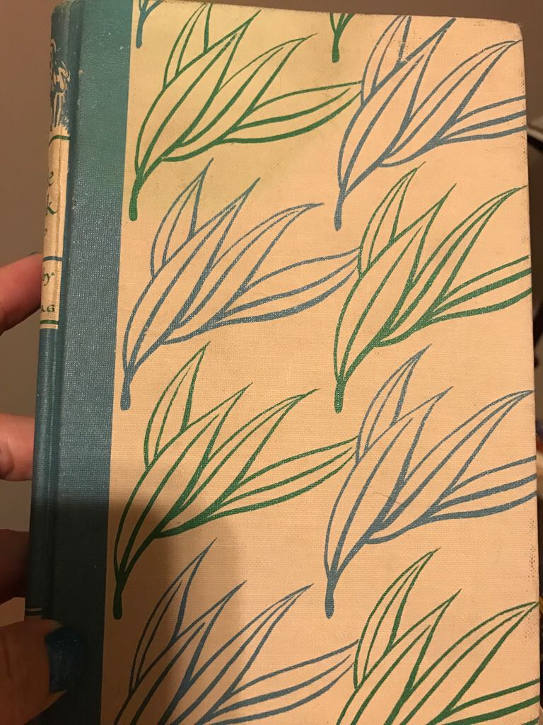 The Hound Of The Baskervilles