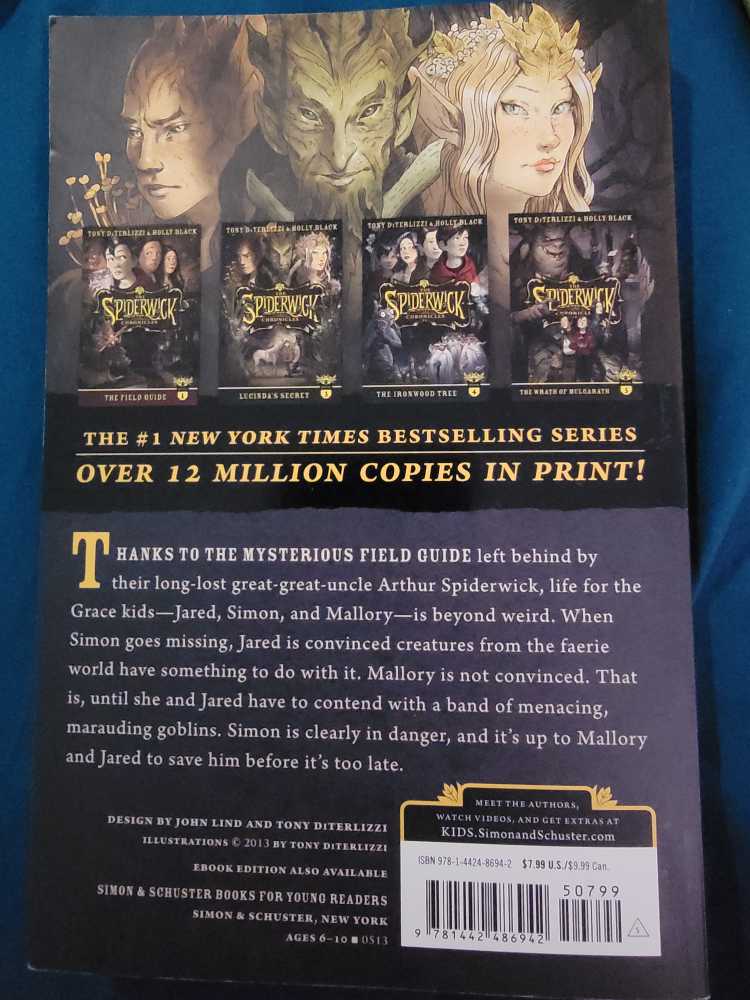 The Seeing Stone - Holly Black (Simon & Schuster Books for Young Readers - Paperback) book collectible [Barcode 9781442486942] - Main Image 2