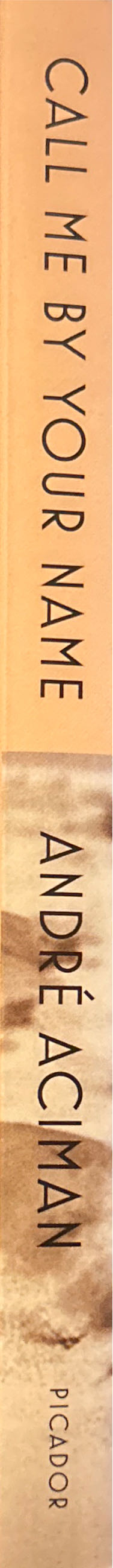 Call Me By Your Name - Andre Aciman (Macmillan - Paperback) book collectible [Barcode 9780312426781] - Main Image 3