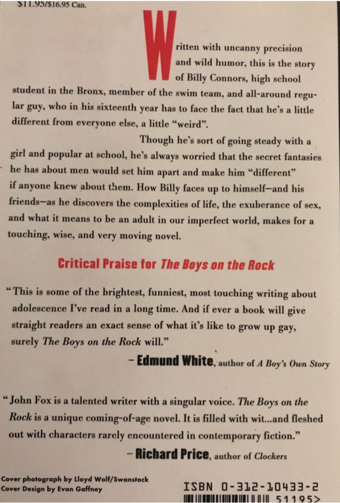 The Boys On The Rock - John Fox (St Martin’s Press - Paperback) book collectible [Barcode 9780312104337] - Main Image 2