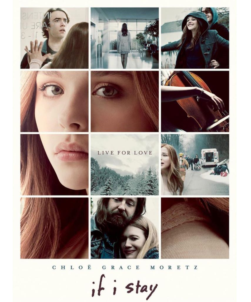 If I Stay book collectible - Main Image 2