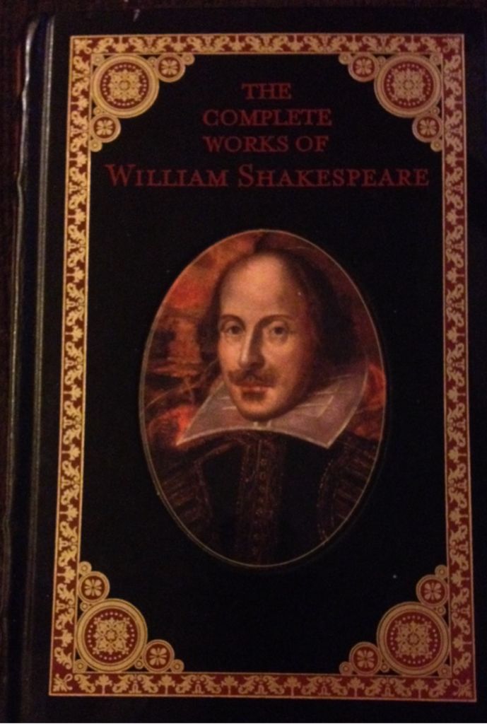 A Giraffe And A Half