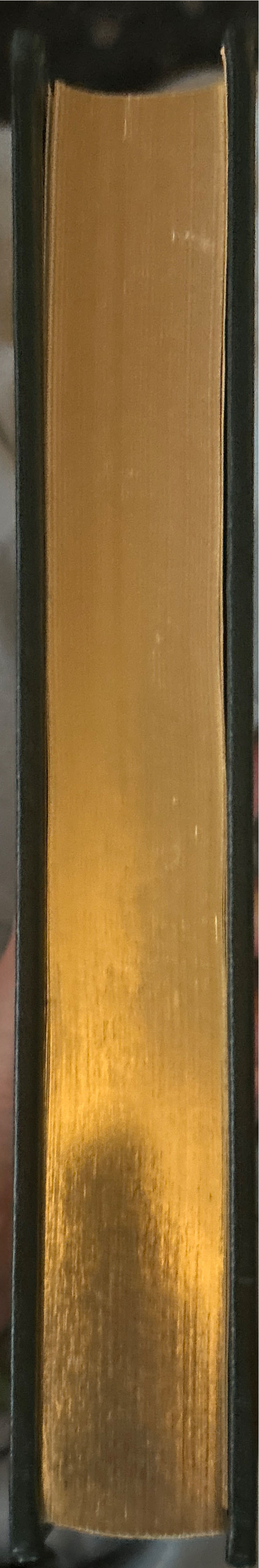 Circle of Friends - Maeve Binchy (The Franklin Library - Hardcover) book collectible [Barcode 9780385301497] - Main Image 2