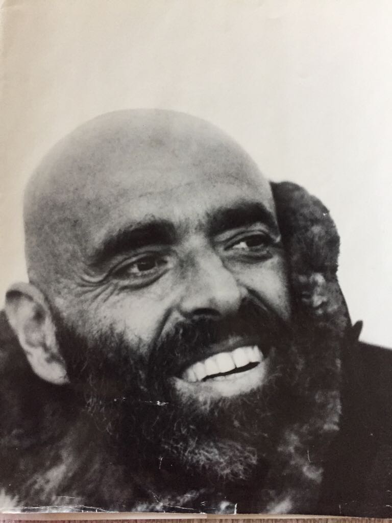 Silverstein, Shel -  Light In The Attic - Shel Silverstein (Harper & Row, Publishers - Hardcover) book collectible [Barcode 0060256737] - Main Image 2