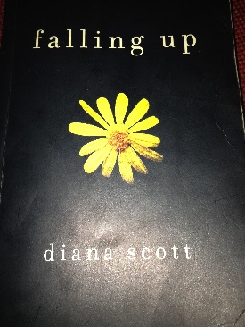 Falling Up book collectible - Main Image 1