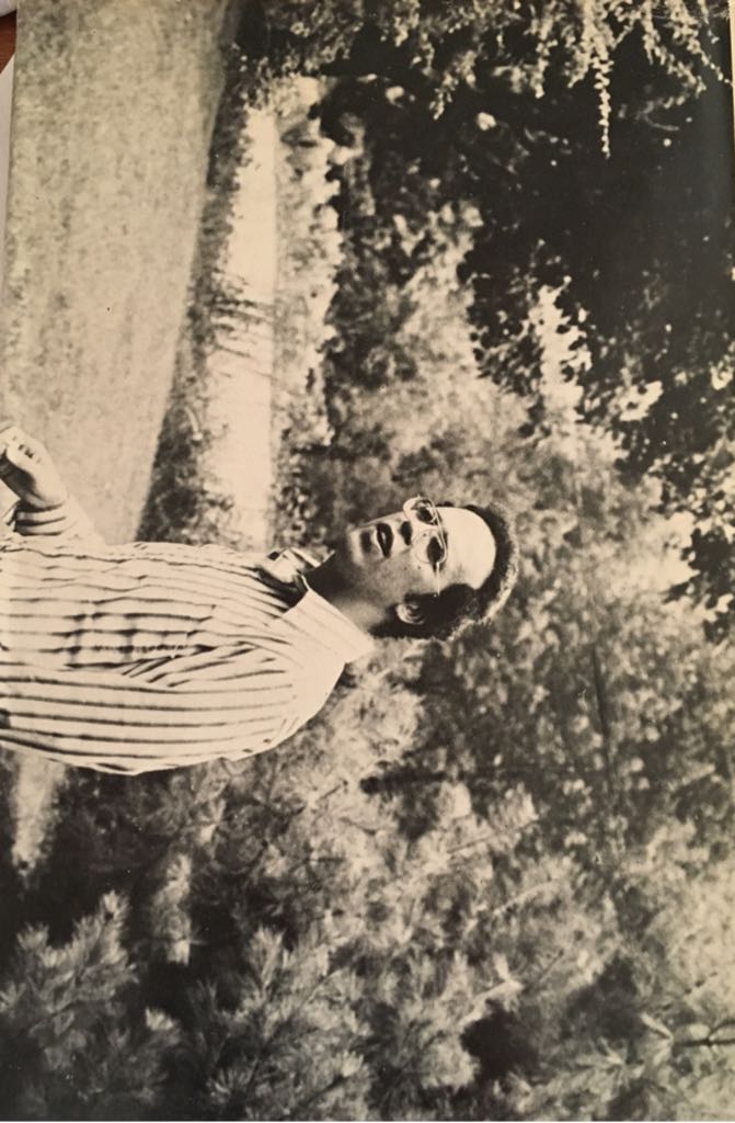 Burnt Offerings - Robert Marasco (Delacorte Press - Hardcover) book collectible - Main Image 2