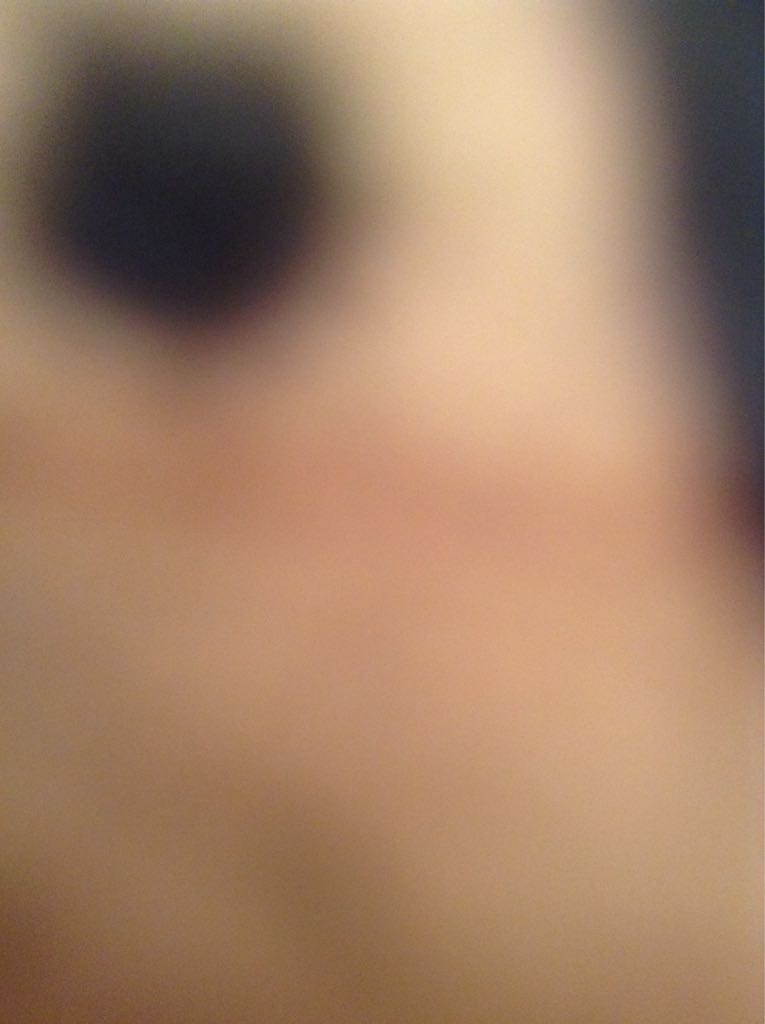 Image 3540694