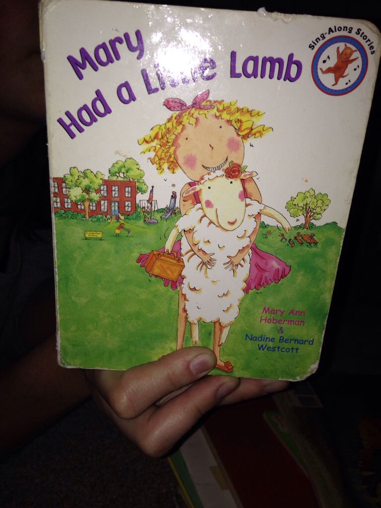 Sharks in the Desert