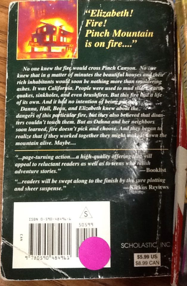 Flash Fire - Caroline B. Cooney (Scholastic - Paperback) book collectible [Barcode 9780590484961] - Main Image 2