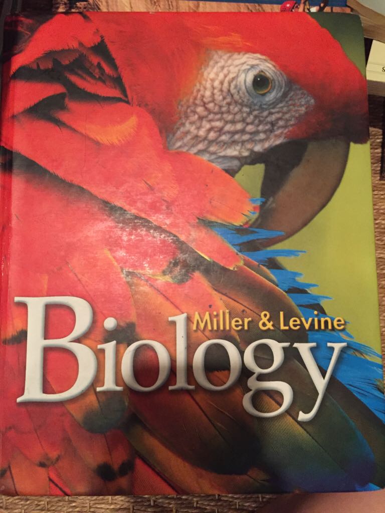 Crime and Punishment