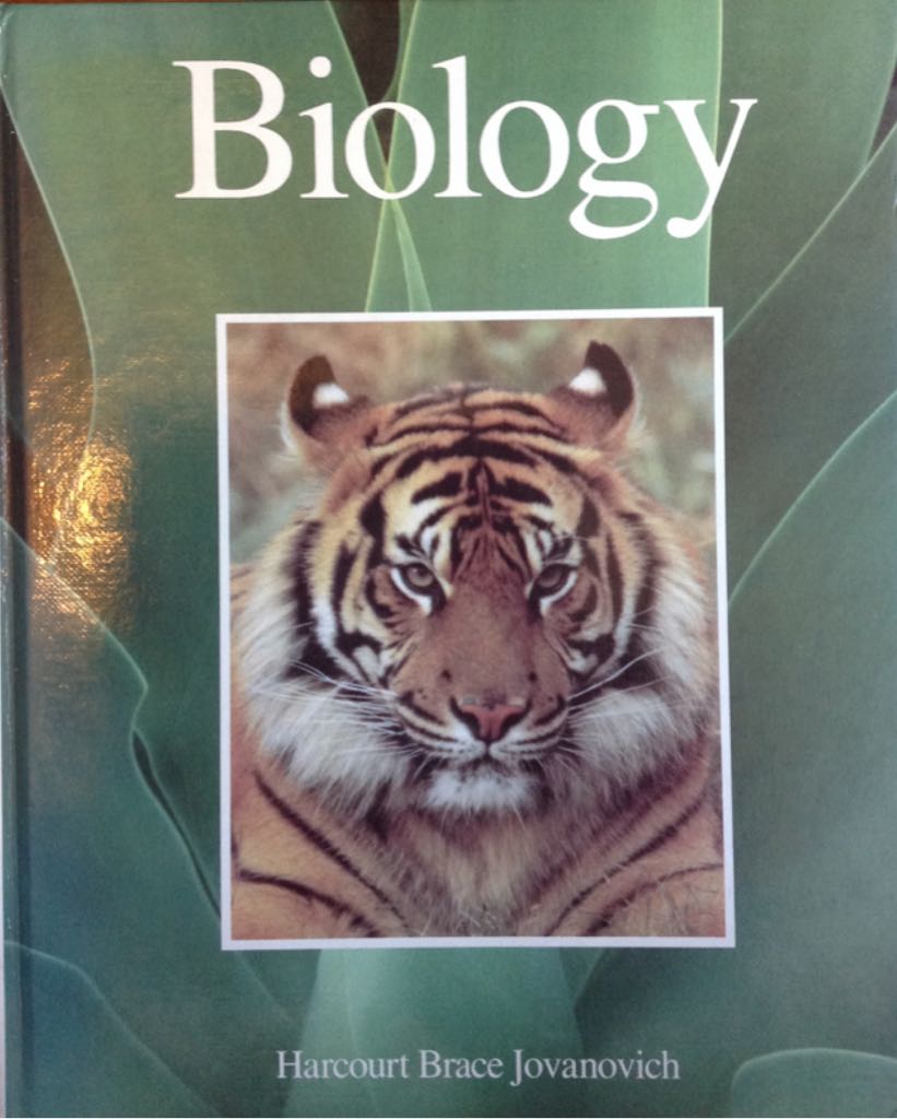 Charlie and the Chocolate Factory