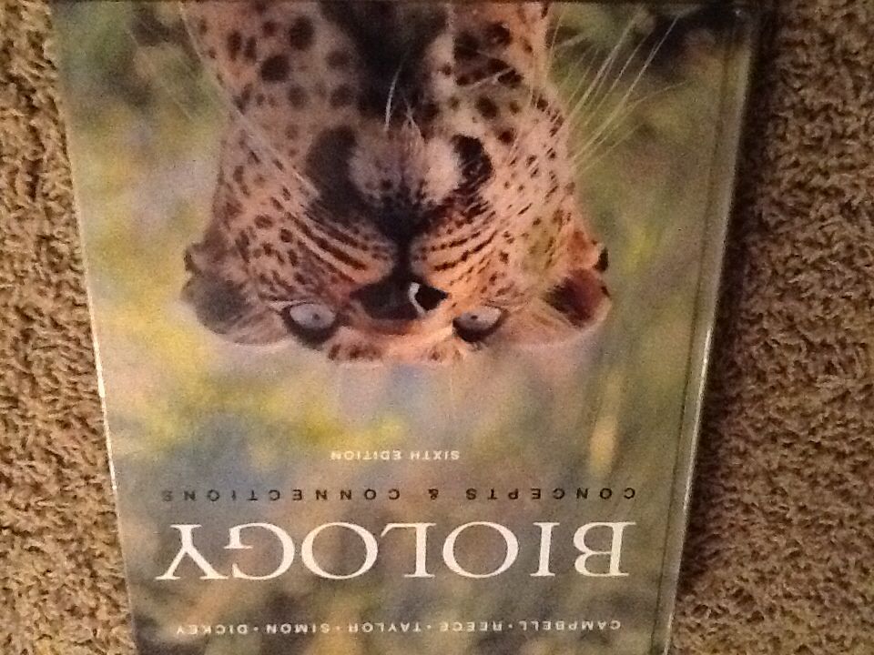 A Greywalker Novel: Seawitch (7)