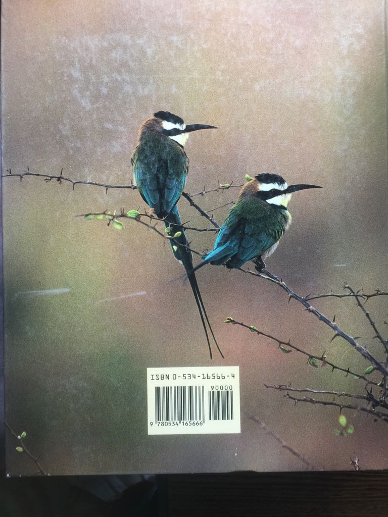 Biology - Cecie Starr (Wadsworth Publishing Company - Hardcover) book collectible [Barcode 9780534165666] - Main Image 2