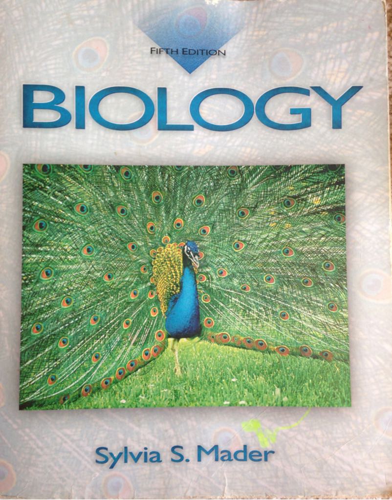 Scene Design And Stage Lighting