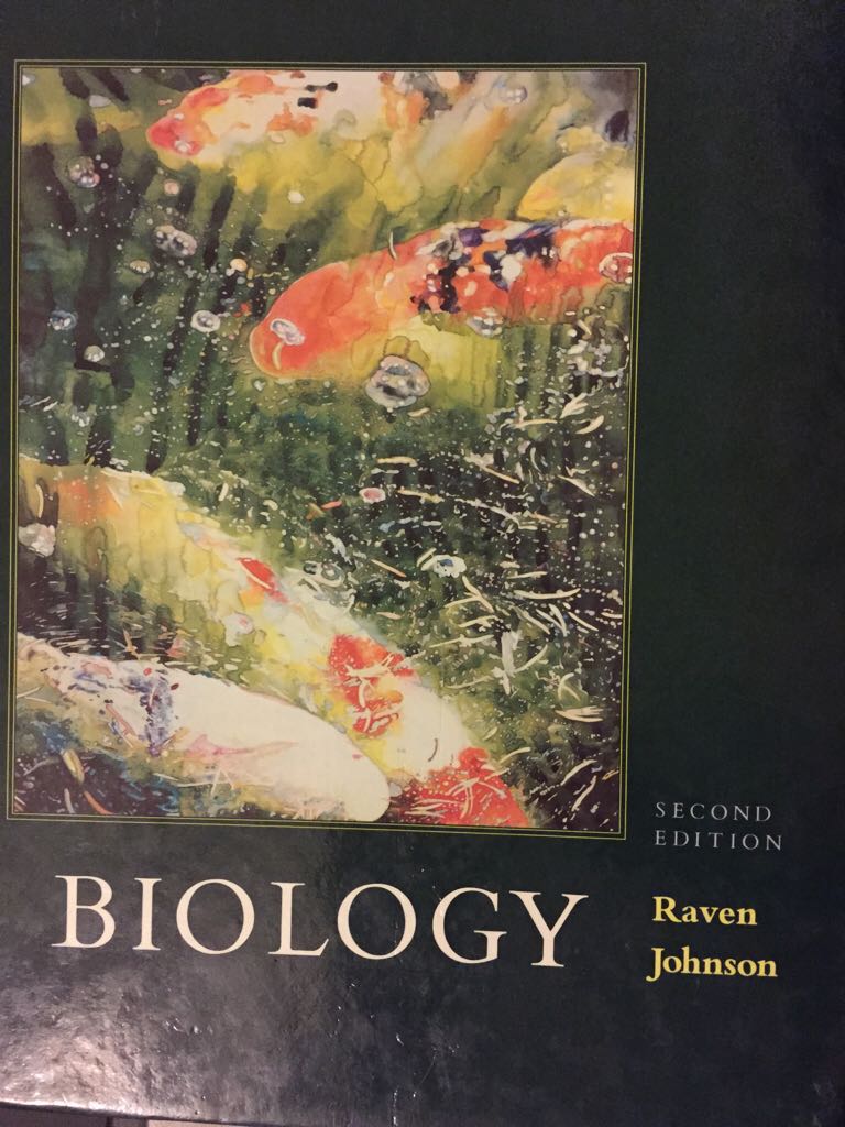 Crime and Punishment