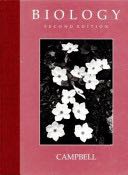 Charlie And The Chocolate Factory