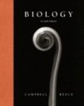 Suzanne Brockmann: TD&D #11 Night Watch