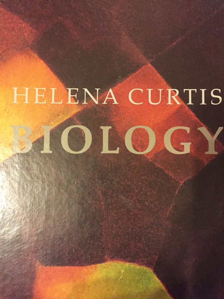 the mouse and the motorcycle