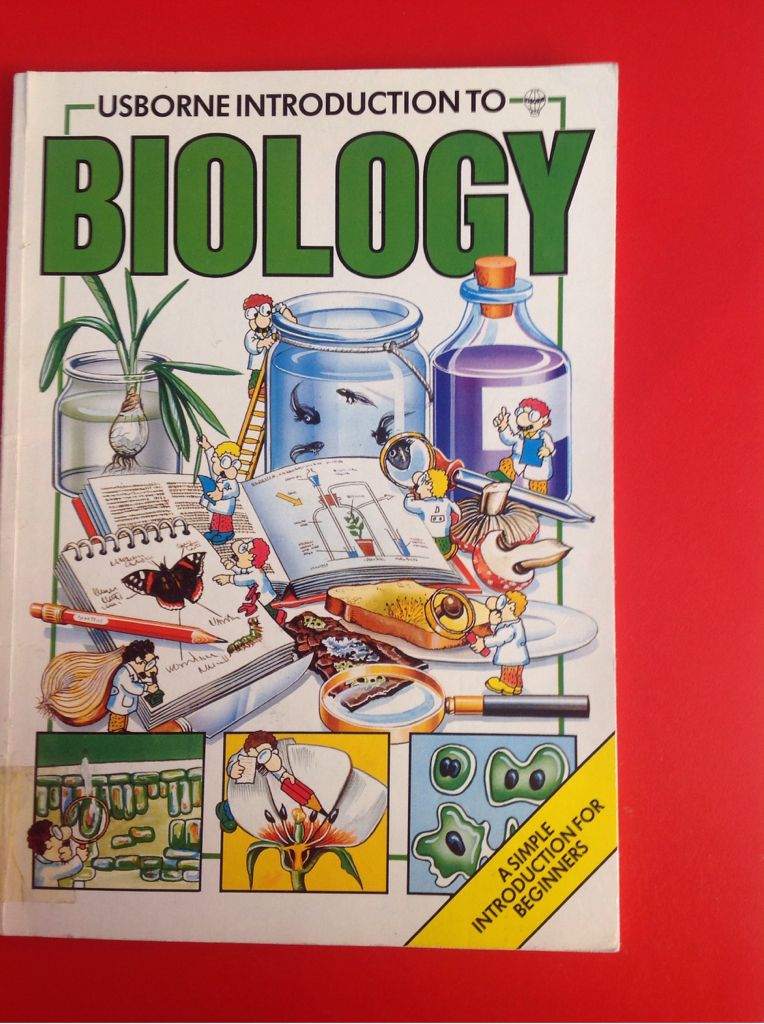 The Hound Of The Baskervilles