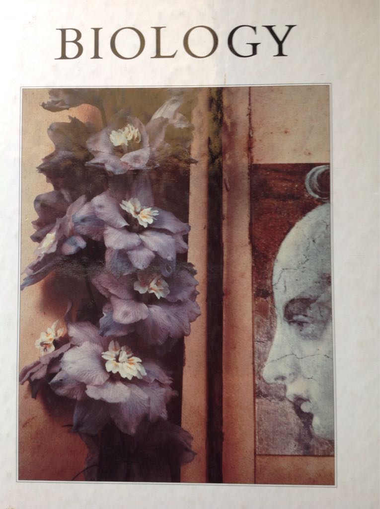 Image 3541798