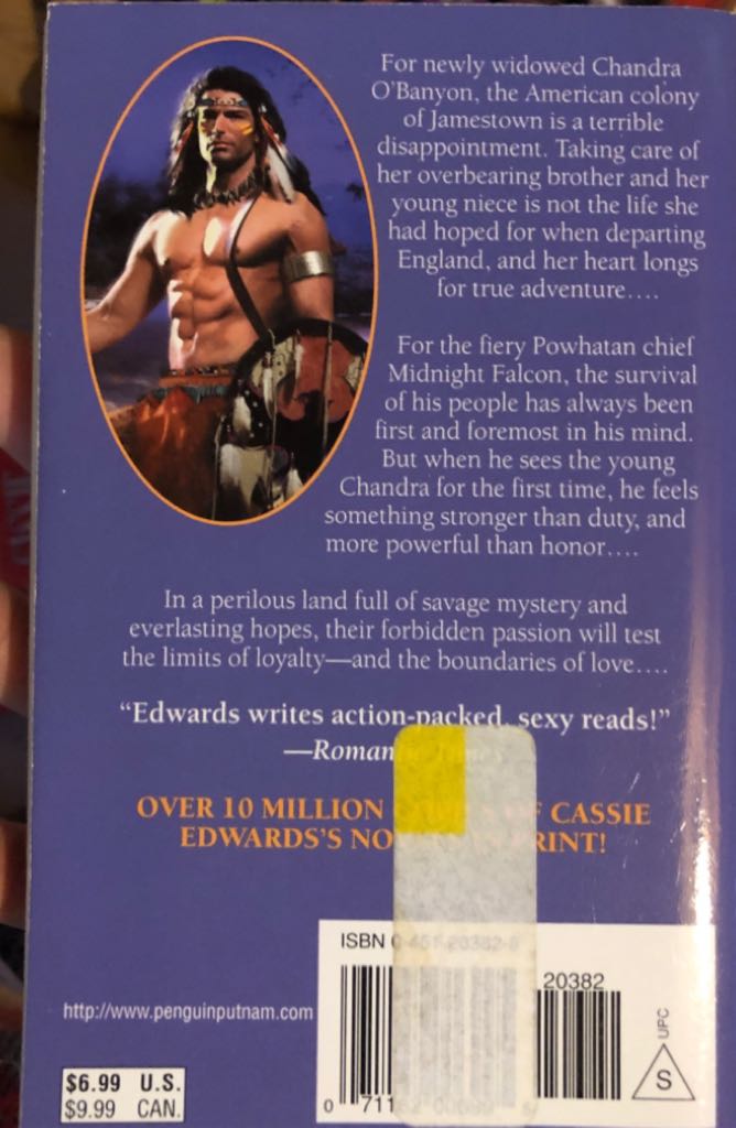 Midnight Falcon - Cassie Edwards (Signet Book - Paperback) book collectible [Barcode 9780451203823] - Main Image 2