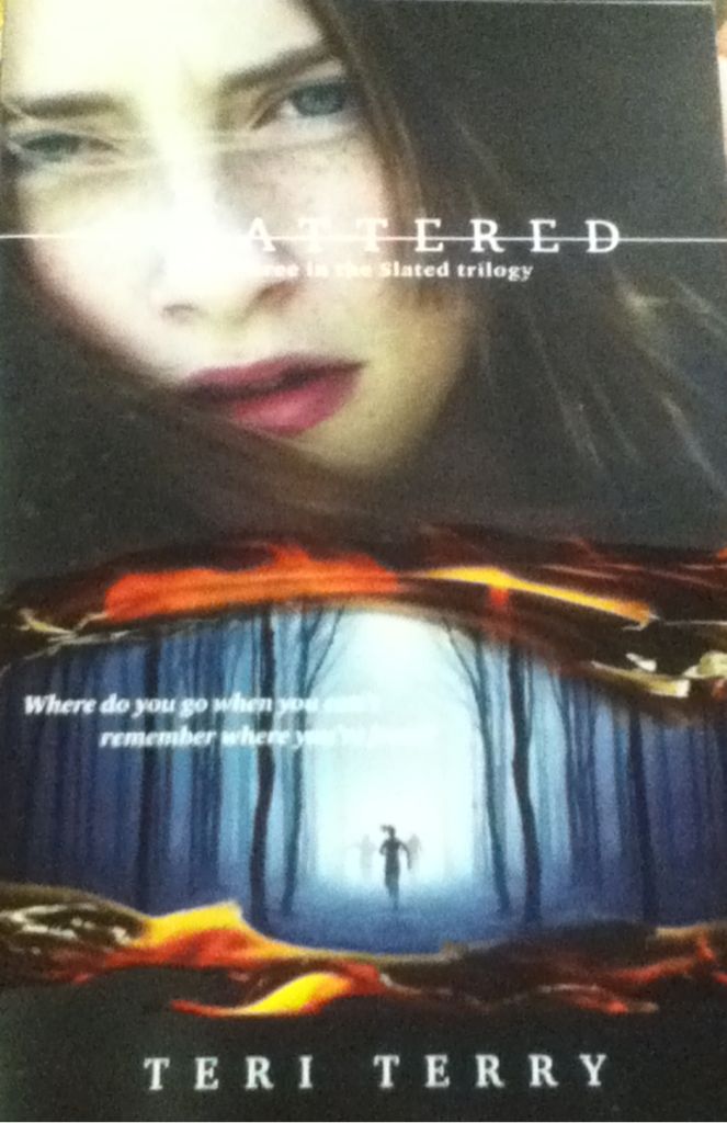 Shattered book collectible - Main Image 1