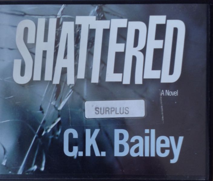 Suzanne Brockmann: TD&D #11 Night Watch