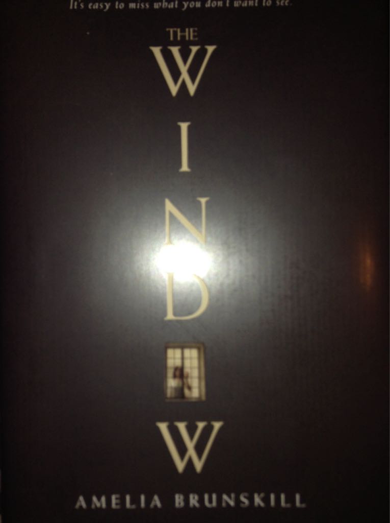 The Window - Amelia Brunskill (Hardcover) book collectible [Barcode 9781524720292] - Main Image 1