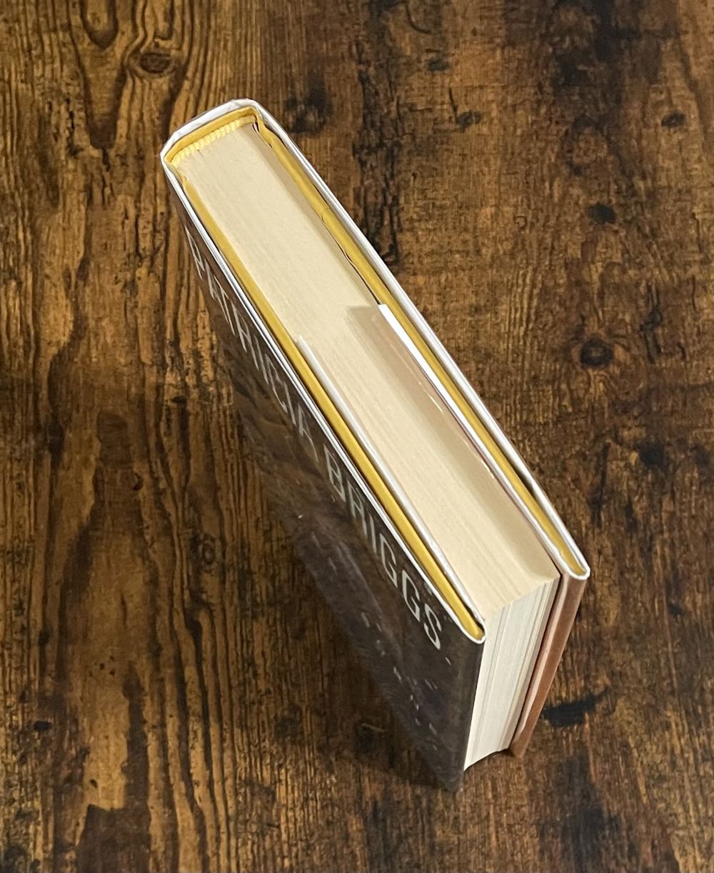 Silver Borne - Patricia Briggs (Ace Books - Hardcover) book collectible [Barcode 9780441018192] - Main Image 3