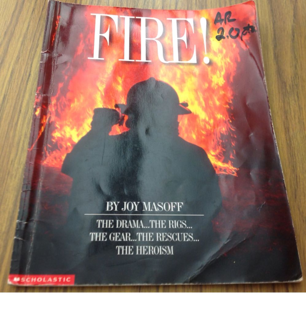 Image 3544779